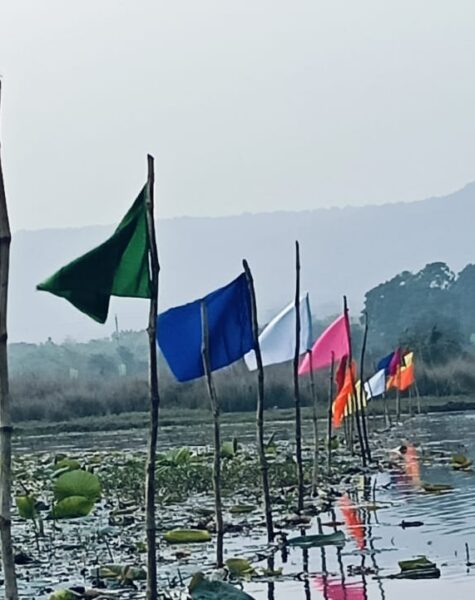 Copy of Flagging of the bamboo fence