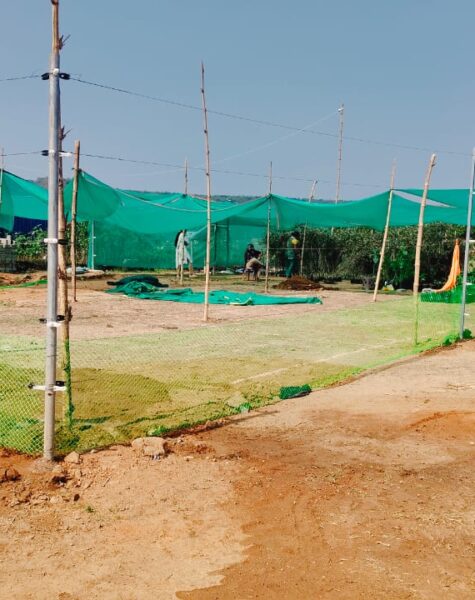 Copy of WhatsApp Image 2025-04-07 at 9.03.59 AM