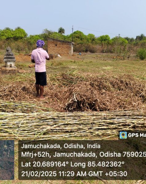 Copy of WhatsApp Image 2025-04-30 at 10.04.19 AM