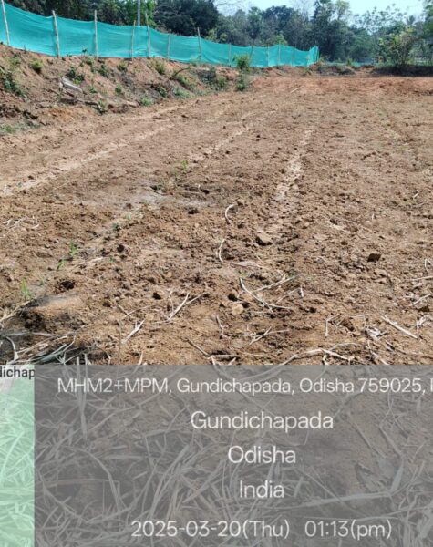 Copy of WhatsApp Image 2025-04-30 at 10.11.49 AM