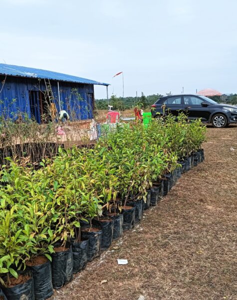 Copy of nursery & solar fencing of camp