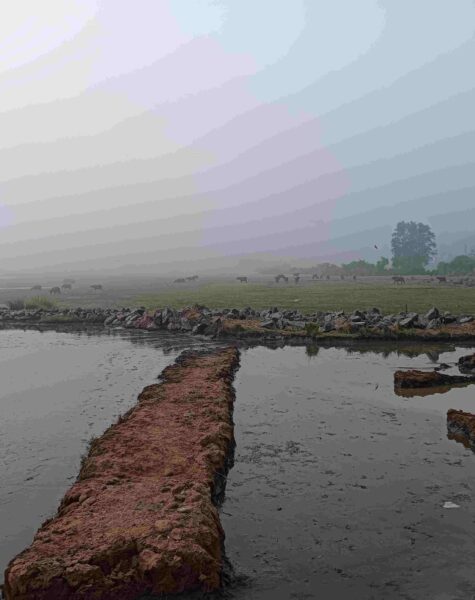 Copy of separate silt chambers 1